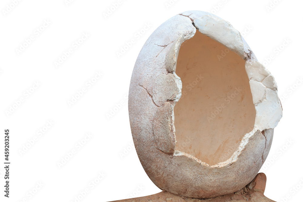 Fototapeta premium Dinosaur egg isolated on white background with clipping path