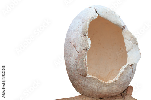 Fototapeta Naklejka Na Ścianę i Meble -  Dinosaur egg isolated on white background with clipping path