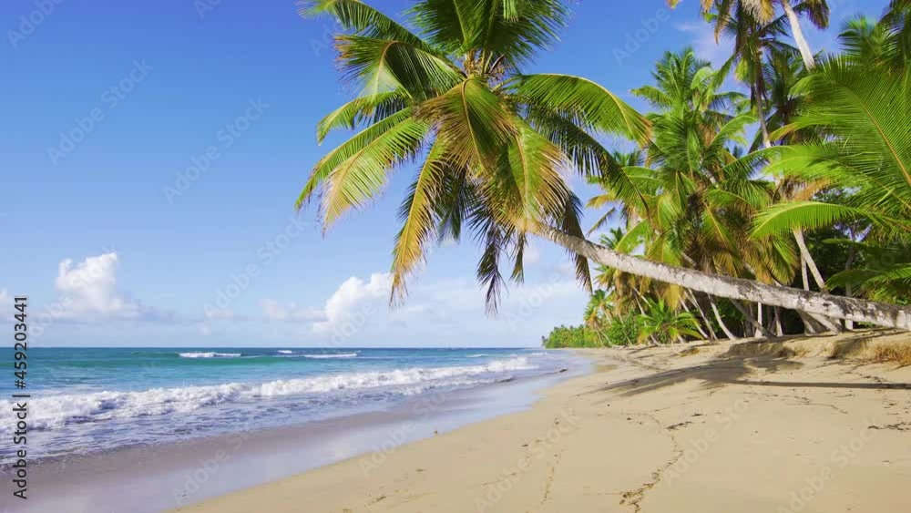 Palm jungle on a white sandy beach. Blue sea waves and blue sky in sunlight on a summer day. Bright paradise tropical landscape. Palm jungle on a white sandy beach. Blue sea waves and blue sky in sunlight on a summer day. Bright paradise tropical landscape.