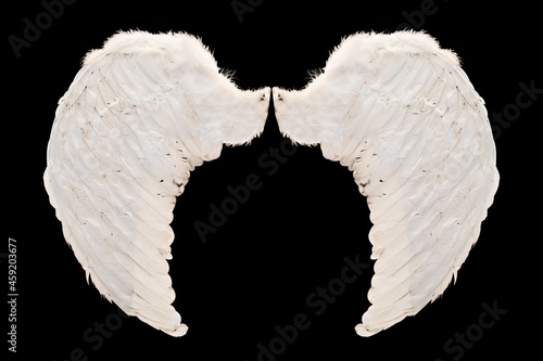 White Angel wings isolated on black background with clipping part