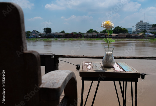 rose in vase on table with river view