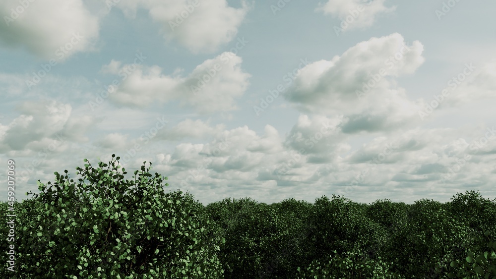 Obraz premium 森林の背景素材。自然やナチュラルなデザインに