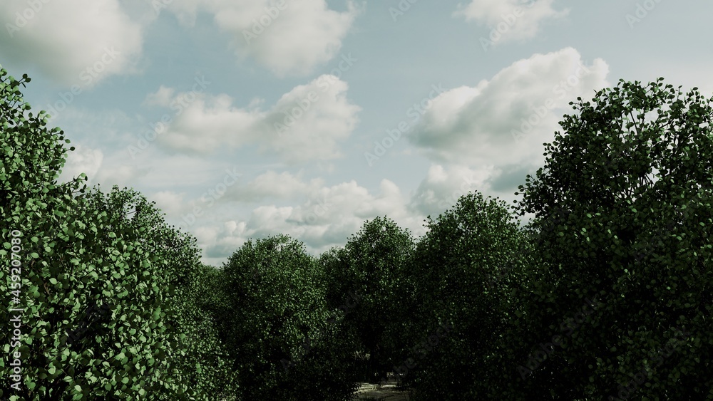 Obraz premium 森林の背景素材。自然やナチュラルなデザインに