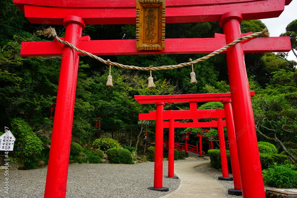 Torii Gate of Hakuryuu Inari Shrine in Oita, Kyushu, Japan - 日本 九州 大分県 別府 白龍稲荷大神 鳥居	