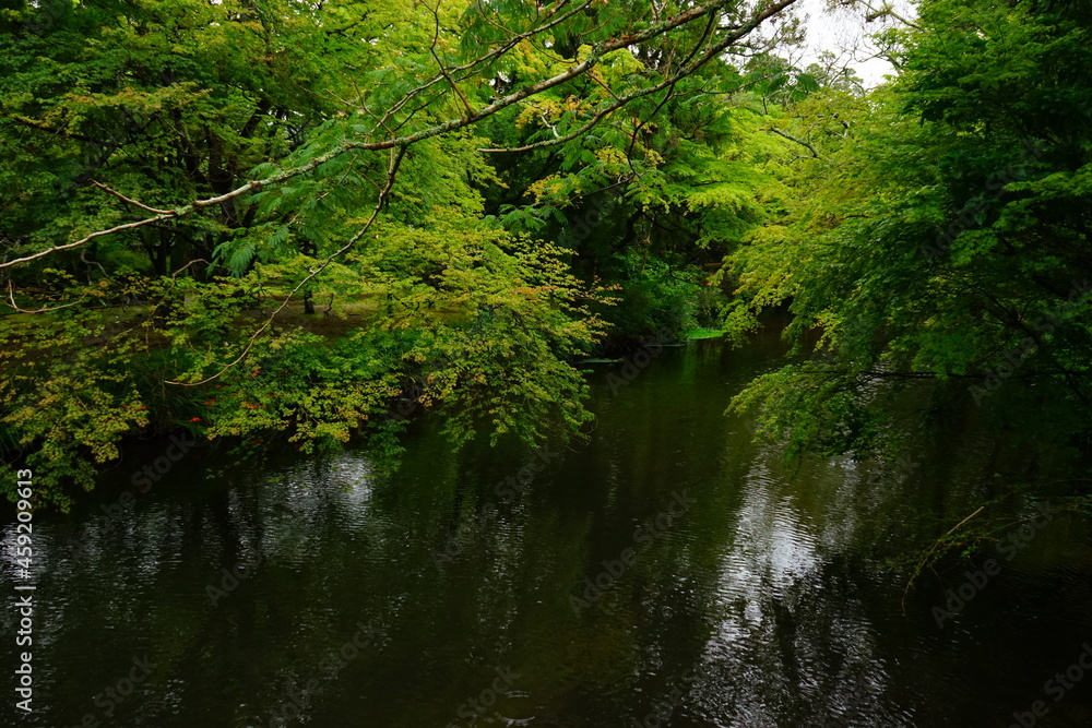 Landscape of Kinrin Lake in Yufuin, Oita, Japan - 日本 大分県 湯布院 金鱗湖 Landscape of Kinrin Lake in Yufuin, Oita, Japan - 日本 大分県 湯布院 金鱗湖