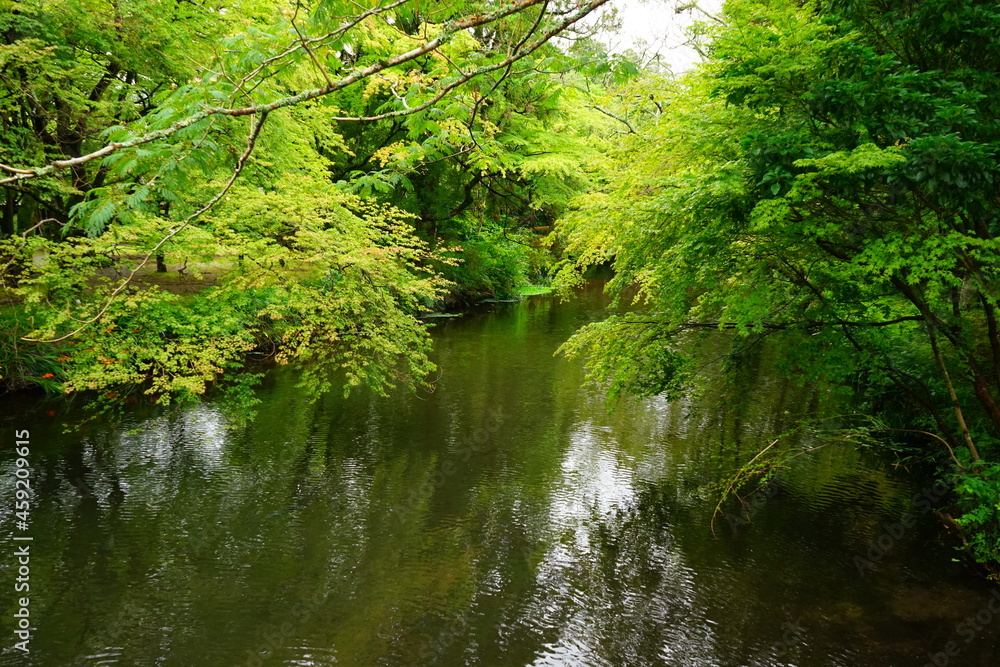 Landscape of Kinrin Lake in Yufuin, Oita, Japan - 日本 大分県 湯布院 金鱗湖	