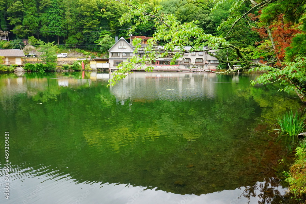 Landscape of Kinrin Lake in Yufuin, Oita, Japan - 日本 大分県 湯布院 金鱗湖	