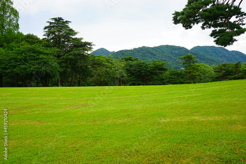Fototapeta Naklejka Na Ścianę i Meble -  Beppu Park in Oita, Kyushu, Japan - 日本 九州 大分 別府公園	