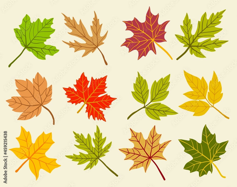 Collection of simplicity maple leaf freehand drawing flat design. Collection of simplicity maple leaf freehand drawing flat design.