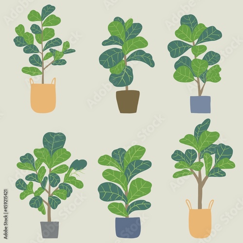 Doodle freehand sketch drawing of fiddle leaf fig tree collection.