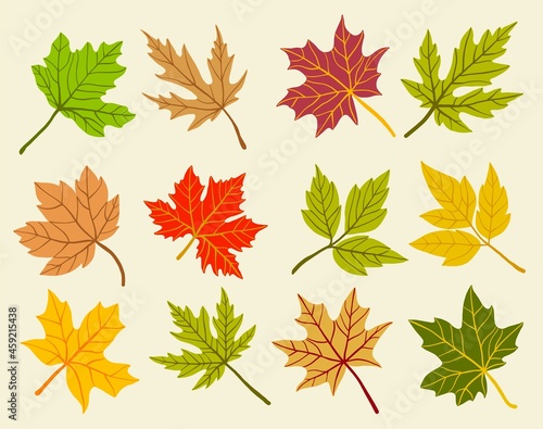 Collection of simplicity maple leaf freehand drawing flat design.