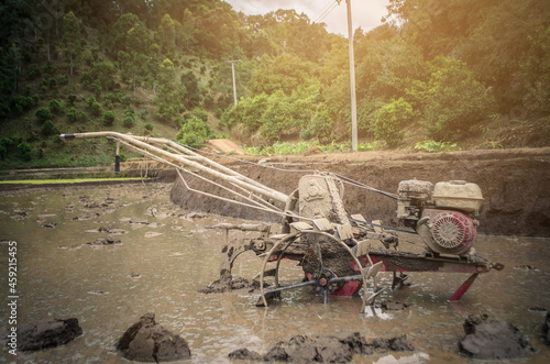 Plowing the fields for preparing to plant rice