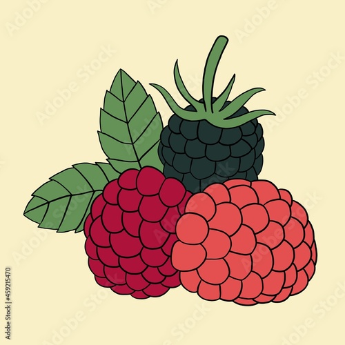 Doodle freehand outline sketch drawing of raspberry fruit.