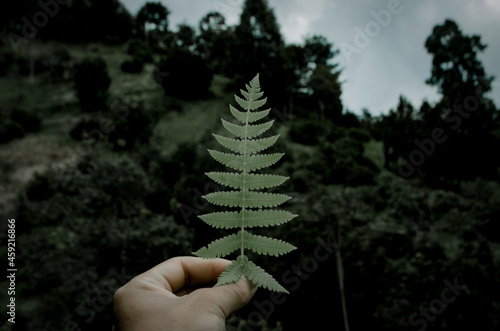 
The green nature that looks fresh when you look at it