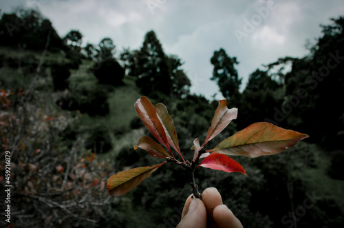 
The green nature that looks fresh when you look at it