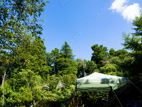 Wallpaper Mural 森林キャンプ場でタープを張ってゆったりした休日を過ごす Torontodigital.ca