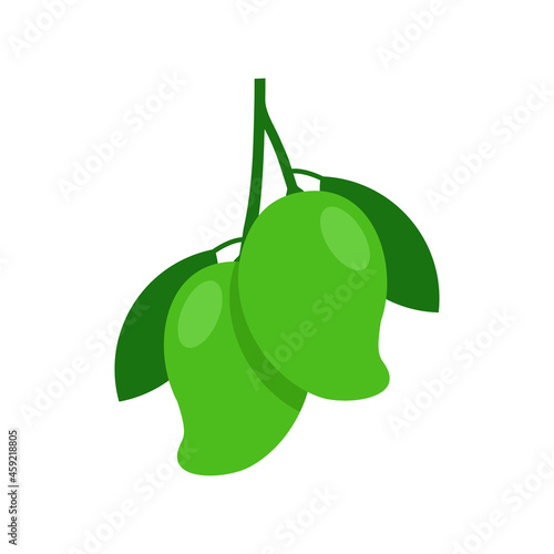 Two green mango vector illustration isolated on white background