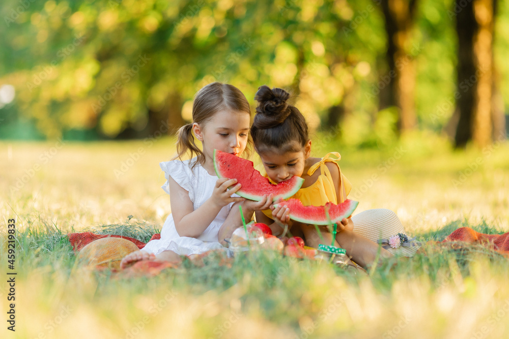 Two little mixed race kids consist of european and caucasian girls smiling with happiness, fun amusement, playing, sitting for picnic and eating piece of watermelon fruit in outdoor garden Two little mixed race kids consist of european and caucasian girls smiling with happiness, fun amusement, playing, sitting for picnic and eating piece of watermelon fruit in outdoor garden