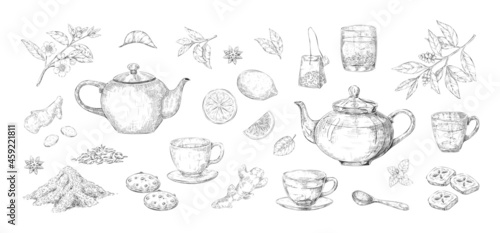 Tea set sketch. Hand drawn kettle and cup with green and black teabags. Citrus lemon or sugar. Isolated anis and mint leaves. Vector teapot and glass of hot herbal drink collection