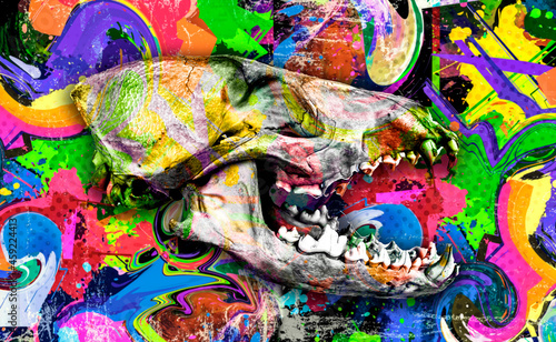 bright abstract background animal skull pop art © reznik_val