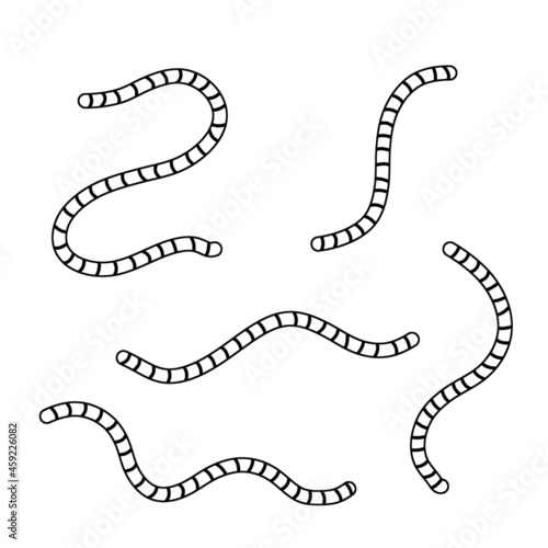 Earthworm. Insect worm set. Black and white cartoon illustration. Bait for fishing