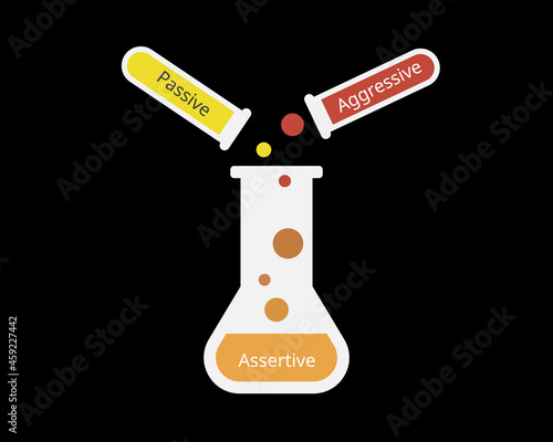 the assertiveness which is combines of aggressive and passive
