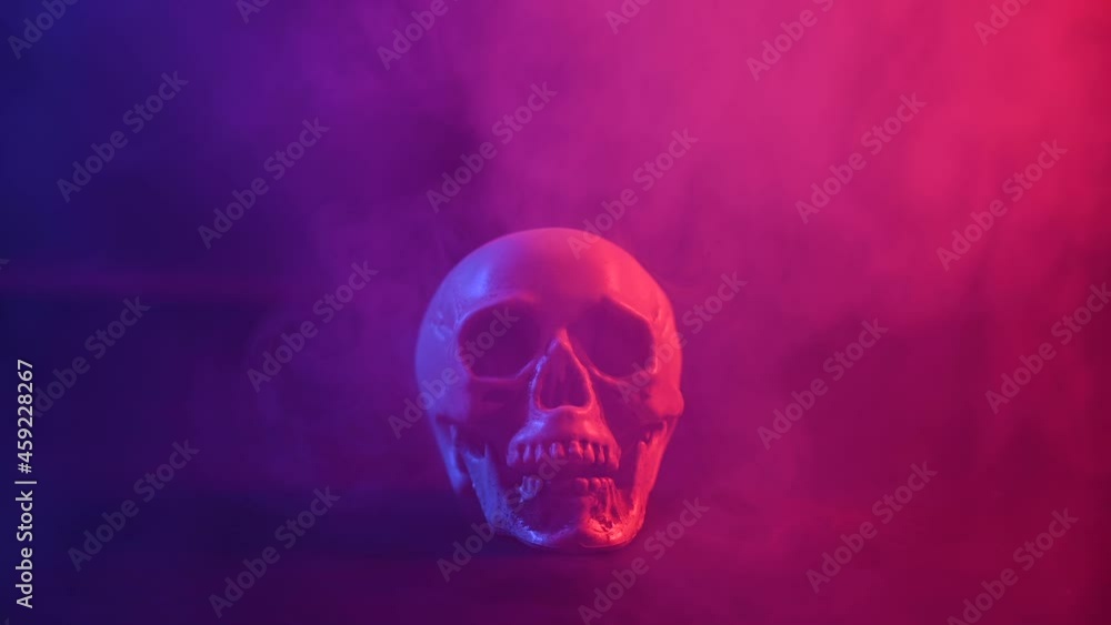 Human skull in pink and blue smoke on a black background. Halloween. Human skull in pink and blue smoke on a black background. Halloween.