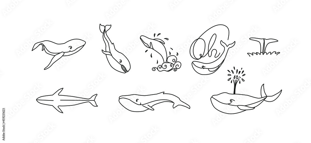Whales sketch set. Whales vector hand drawn. Whales sketch set. Whales vector hand drawn.