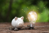 Saving money investment concept. Piggy bank with green bokeh background.Balance savings and investment.