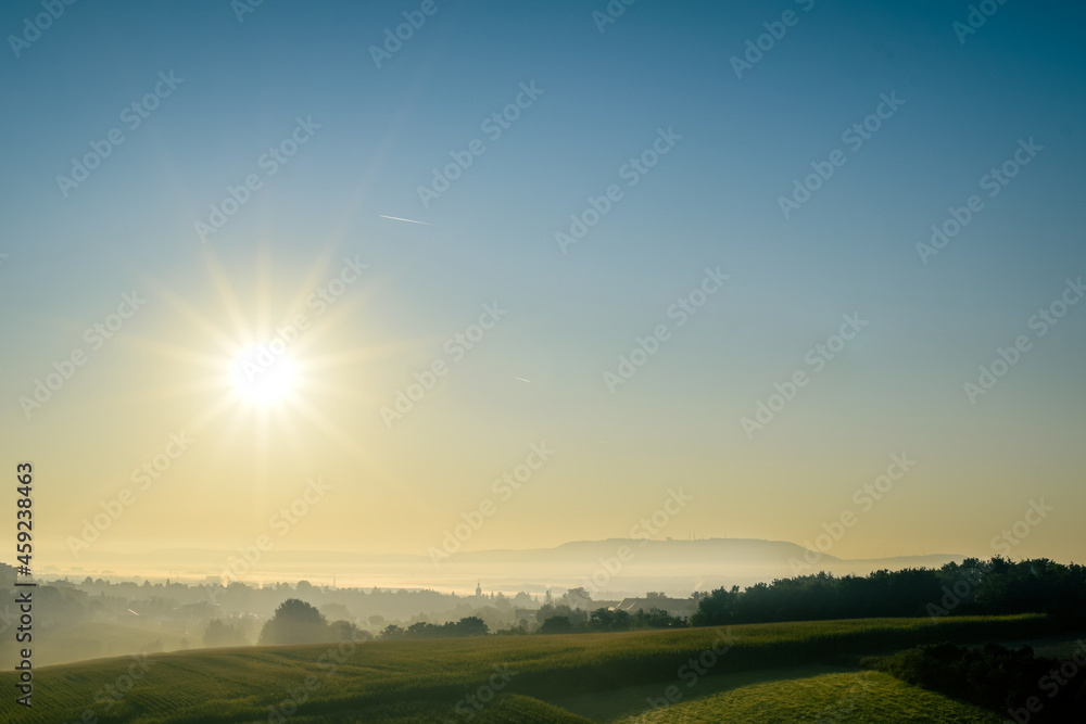 Fototapeta premium sunset over the field