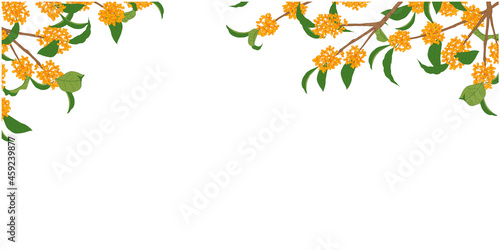 金木犀のフレーム④横_上部