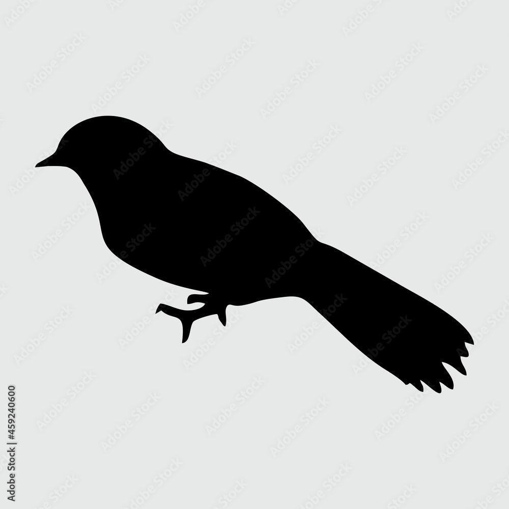 Fototapeta premium Bird Silhouette, Bird Isolated On White Background