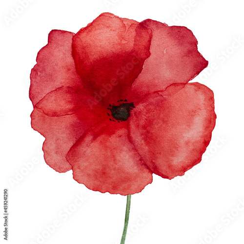 Beautiful picture of poppy flowers. Happy Remembrance Day