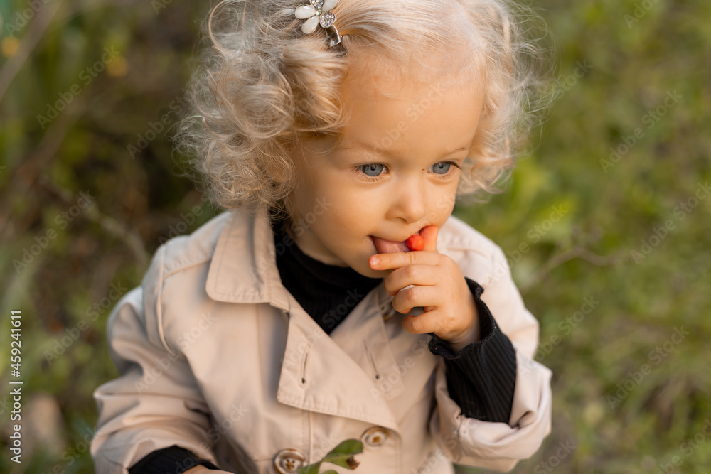 portrait of a small curly blonde girl with blue eyes in a white raincoat, who eats a rowan berry. outdoor walking. healthy snack. High quality photo portrait of a small curly blonde girl with blue eyes in a white raincoat, who eats a rowan berry. outdoor walking. healthy snack. High quality photo