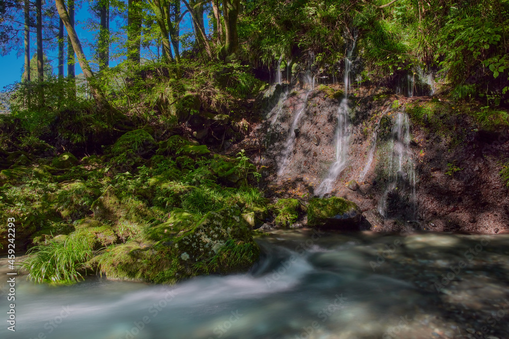 Naklejka premium 夏の滝