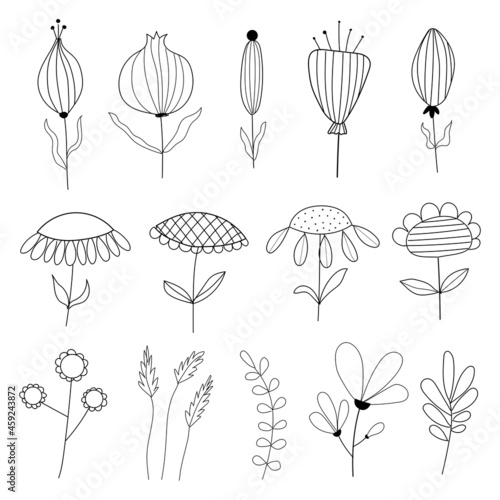 Botanical collection of floral and herbal elements single continuous black line for cards  invitations  logo  prints  sketch.