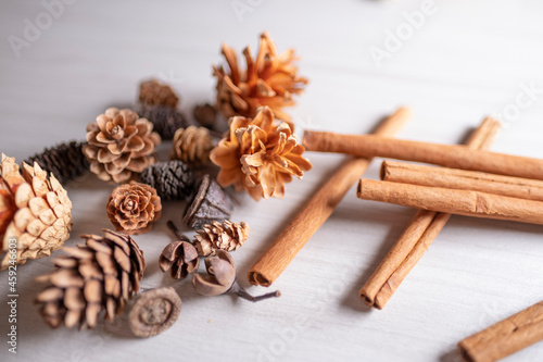 cinnamon sticks and dry flowers