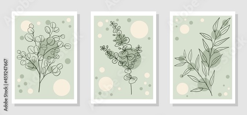 Botanical wall art vector set eucalyptus sketch illustration with abstract shapes