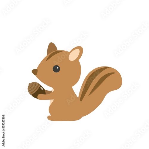 ドングリを持ったかわいいリス