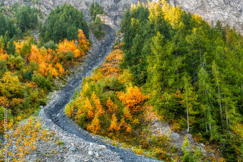 Autumn in the woods, Val Veny