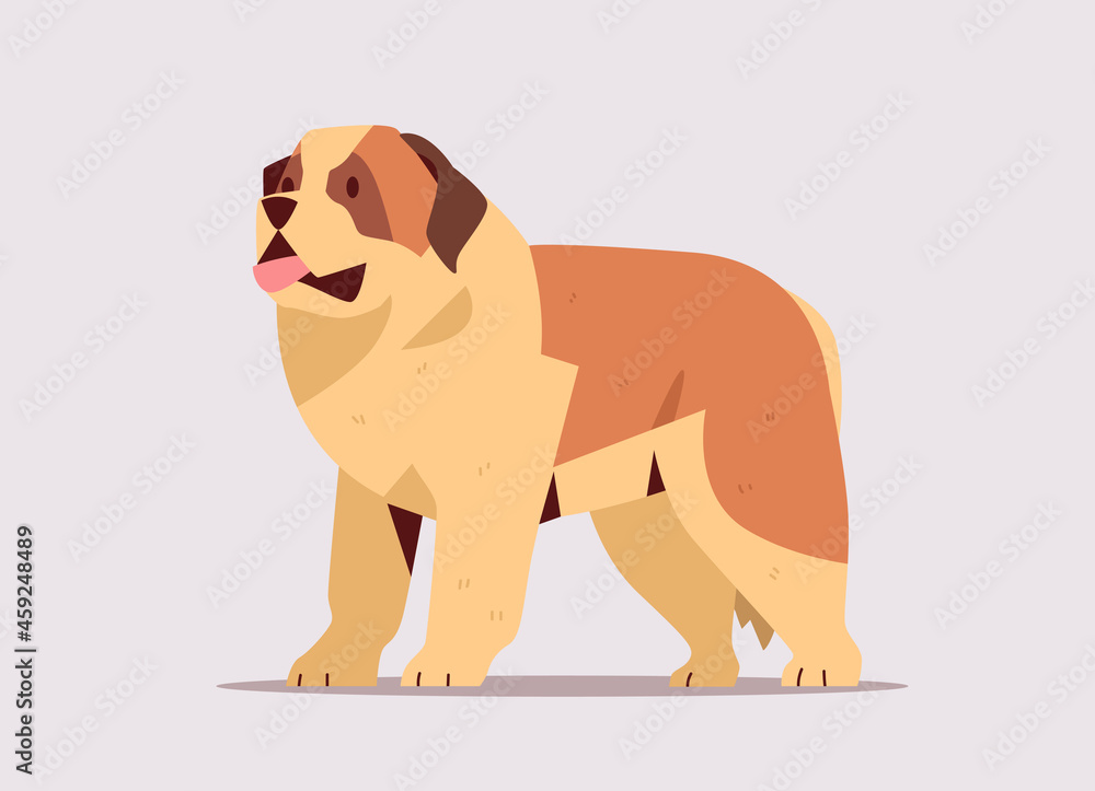 Short-haired saint bernard dog icon furry human friend domestic animal ...