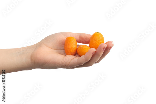 Kumquat fruits in woman hand isolated on a white background photo