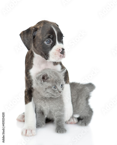 Friendly German Boxer puppy dog hugs tiny kitten. isolated on white background