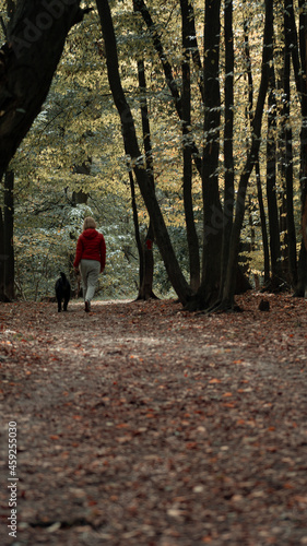  Forest, forest and woman, forest in autumn, fallen leaves, woman with a dog, woman in the forest, dog in the forest © AGame