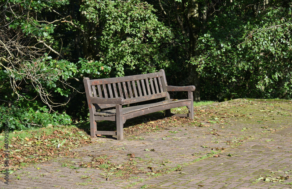 Old Empty Wooden Bench 