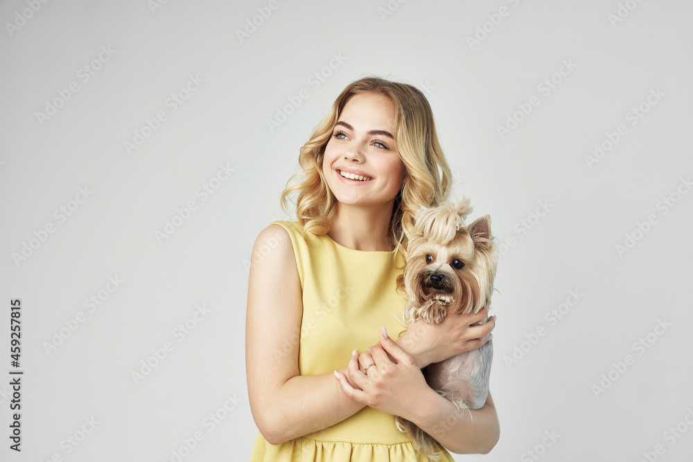 blonde fashionable purebred dog cropped view fashion blonde fashionable purebred dog cropped view fashion