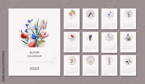 Calendar 2022, card pages of calendar with separate  monthes cards, botanical illustration with flowers, social media posts design, warm colors, with organic shadow photo