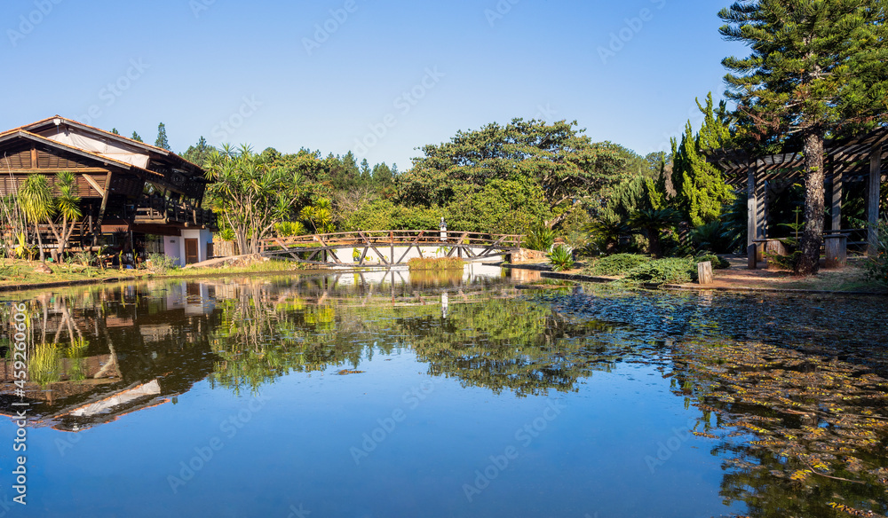 A woman on the wooden bridge over a lake in a forest. Reflected image. Sunny day. Blue sky.