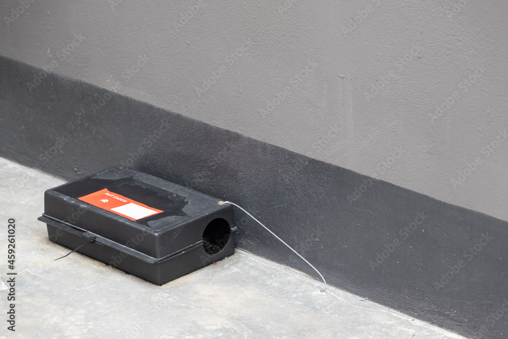 A black plastic rat trap on concrete floor. bait poison box for rat. Photos  | Adobe Stock