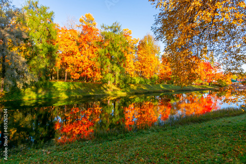 Autumn foliage in Catherine park, Tsarskoe Selo (Pushkin), St. Petersburg, Russia